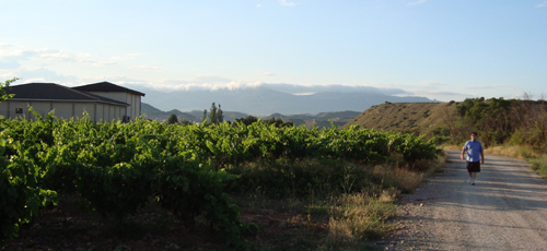 Paz, tranquilidad, relax, La Rioja tierra de vinos